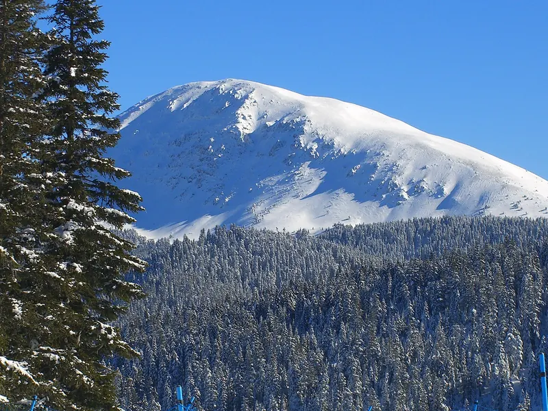 Ilgaz Dağı Milli Parkı'nda karla kaplı zirve ve çam ormanı