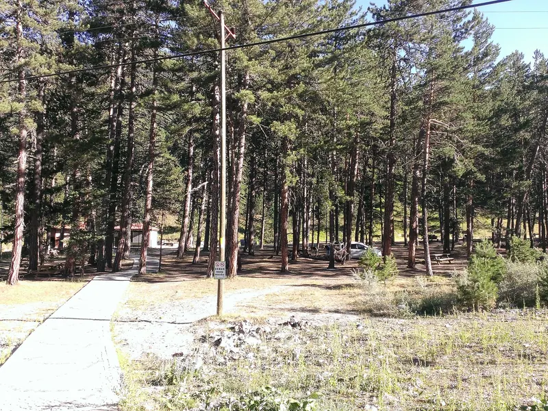 Kadınçayırı Tabiat Parkı'nda çam ormanı içindeki yürüyüş yolu