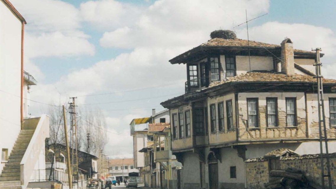 Çerkeş kırsalında gece saatlerinde görüntülenen yavru vaşak